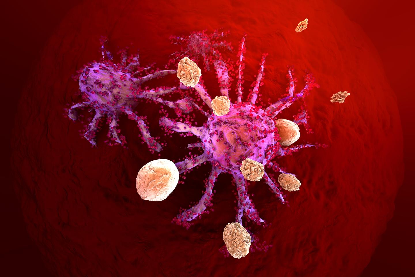 Using a two-pronged approach to boost the immune system was effective against breast cancer metastases