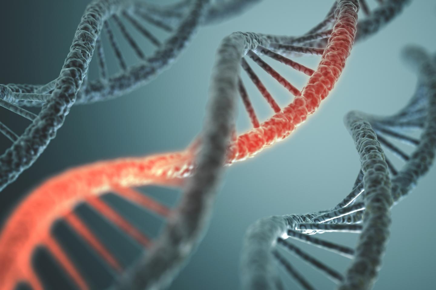 A chance discovery led to identifying a genetic mutation present in some cancers