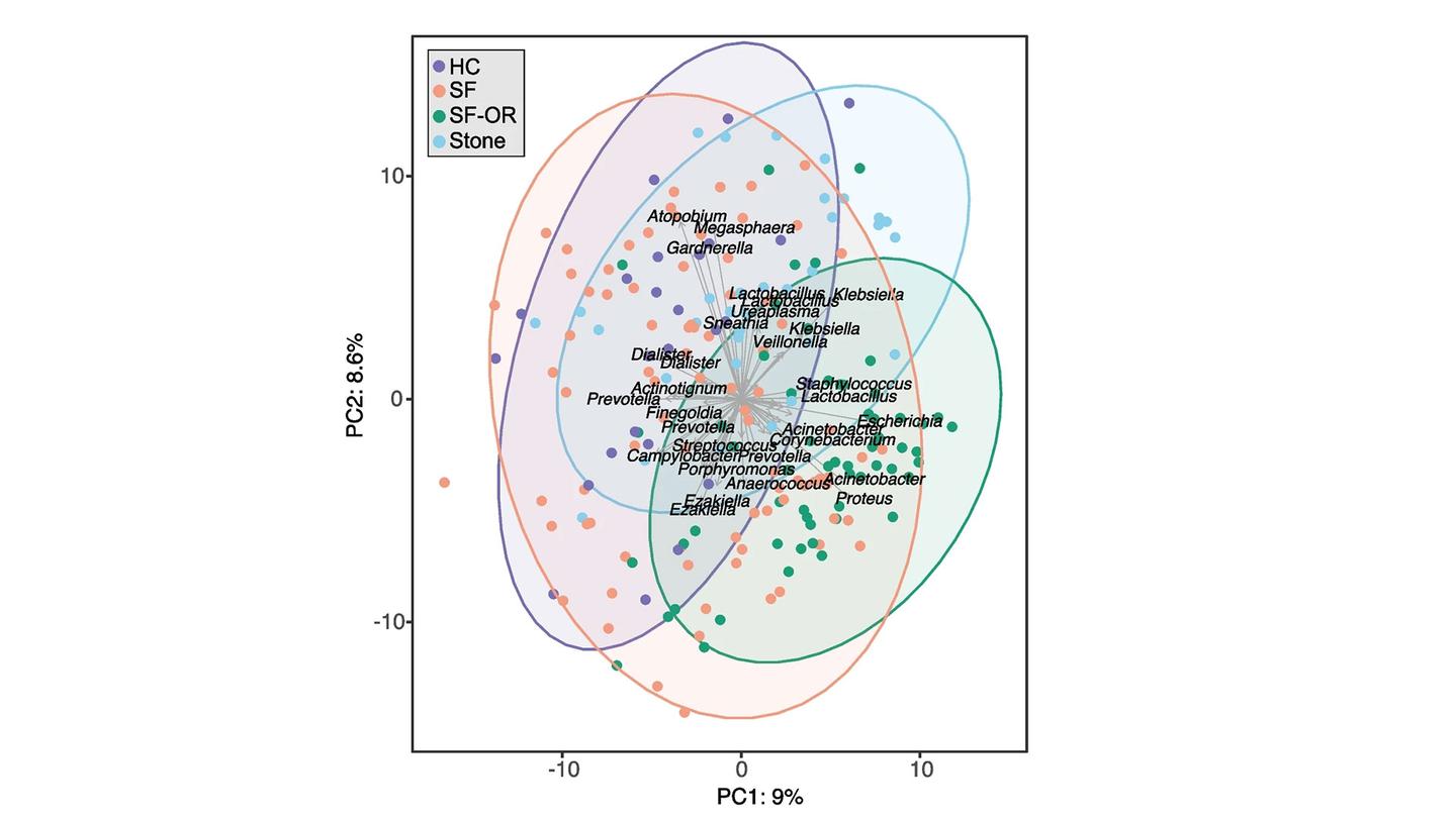 Differences in the microbiome composition in the urine of healthy controls (HC), stone formers (SF), stone formers during surgery (SF-OR) and the kidney stones themselves (Stone)