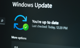 Microsoft Patch Tuesday, December 2023 Edition