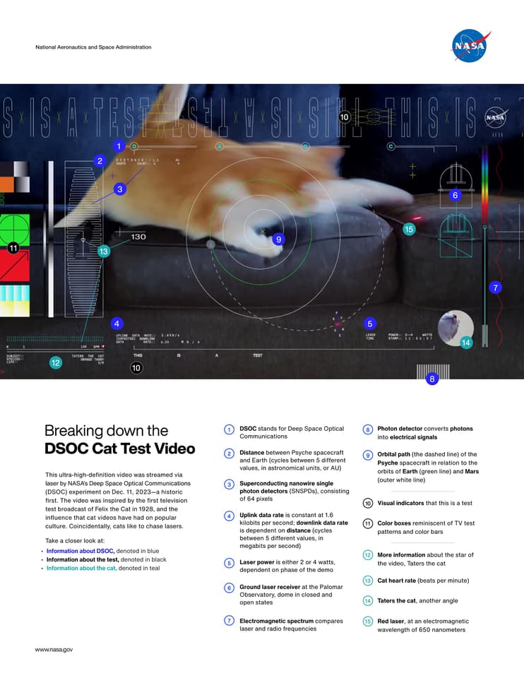 Cat laser video infographic