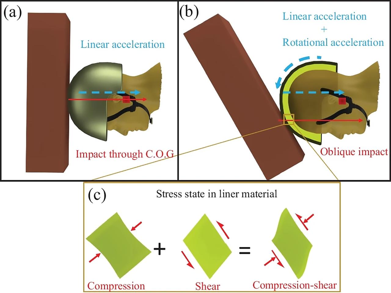 Oblique impacts subject the brain to a combination of linear and rotational shear force