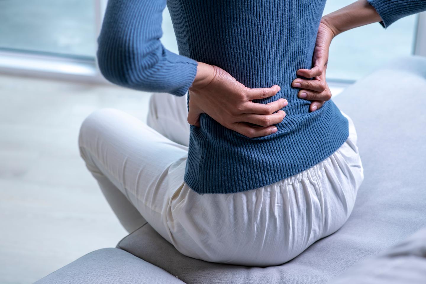 A subset of cells responsible for chronic lower back pain were identified by researchers