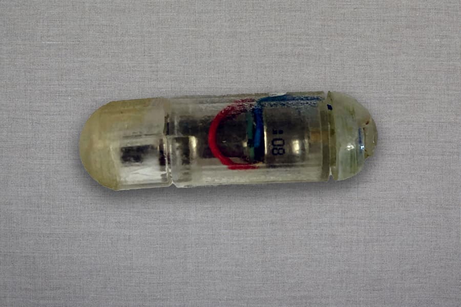 The VIBE pill is designed to start vibrating once it enters the stomach, activating a biological system that suppresses appetite