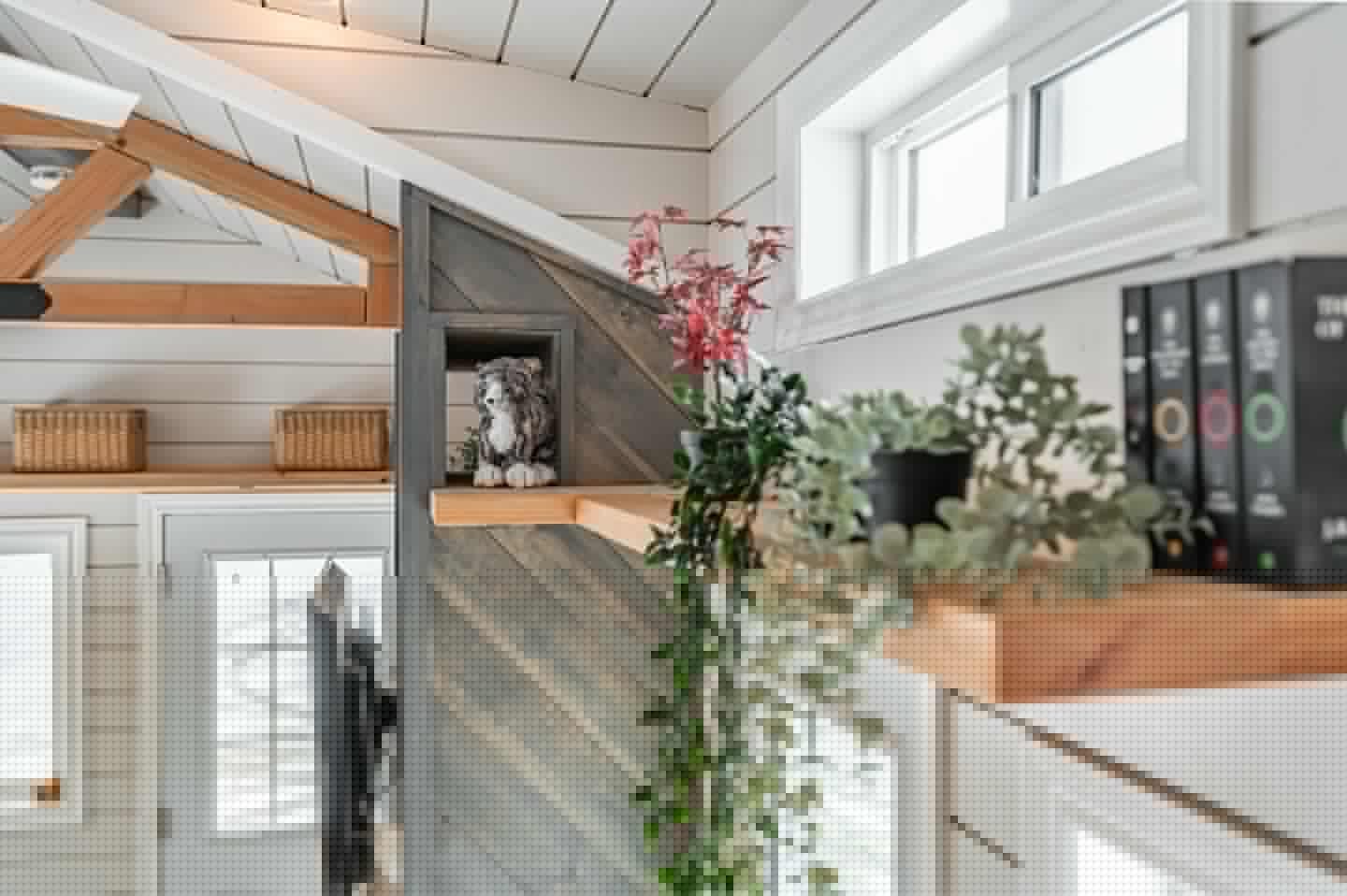 The Paddock Paradise's house cat will have many places to play and hang out