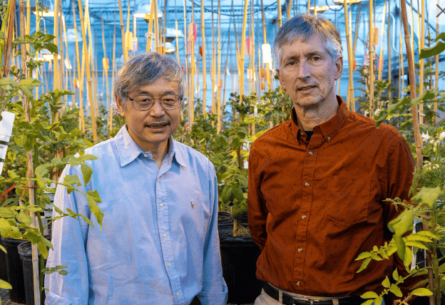 Spud buds: MSU potato scientists Jiming Jiang (left) and David Douches