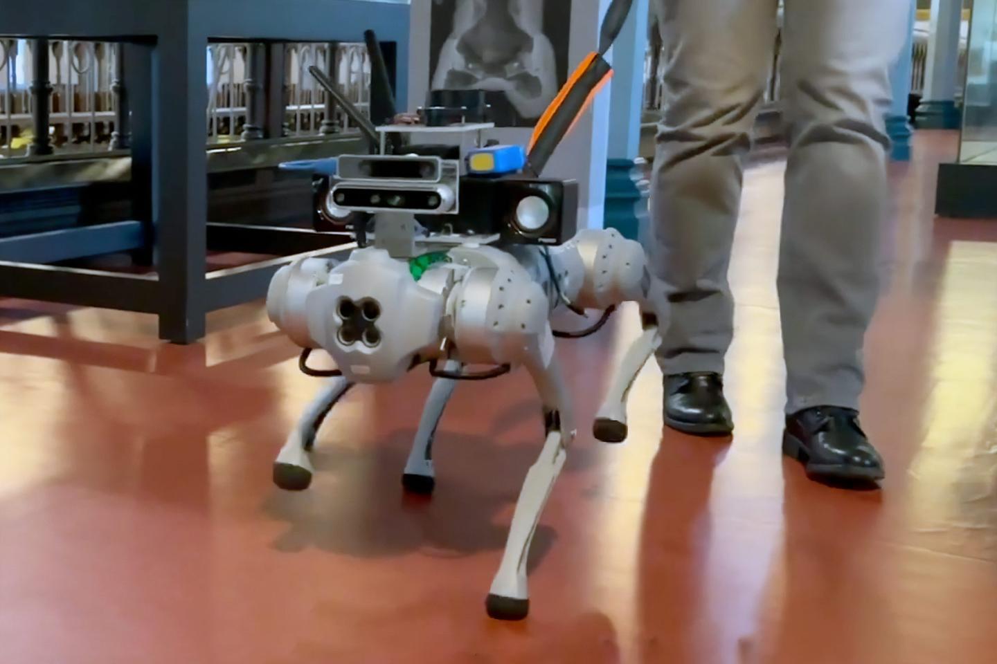 The University of Glasgow's Unitree-based quadruped will see duty in a variety of guide roles.