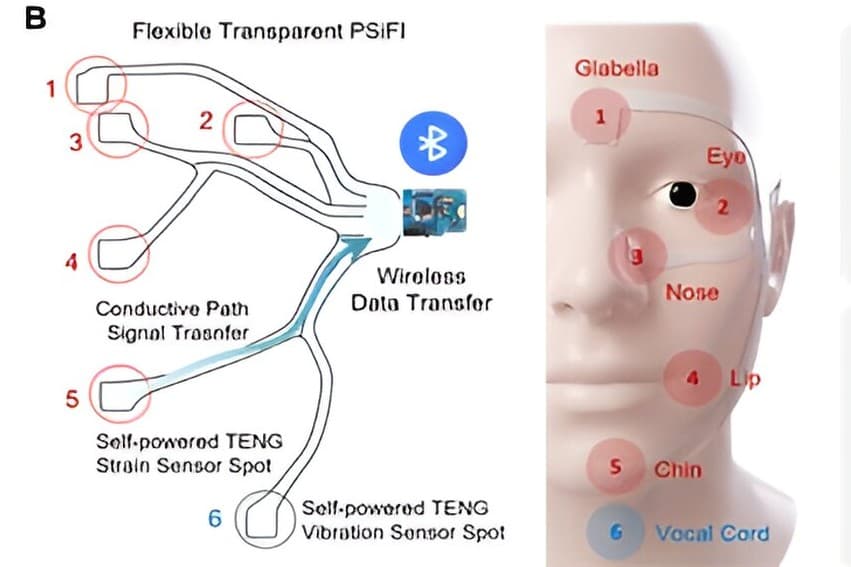 A look at the adhesive sensor and its position on the face