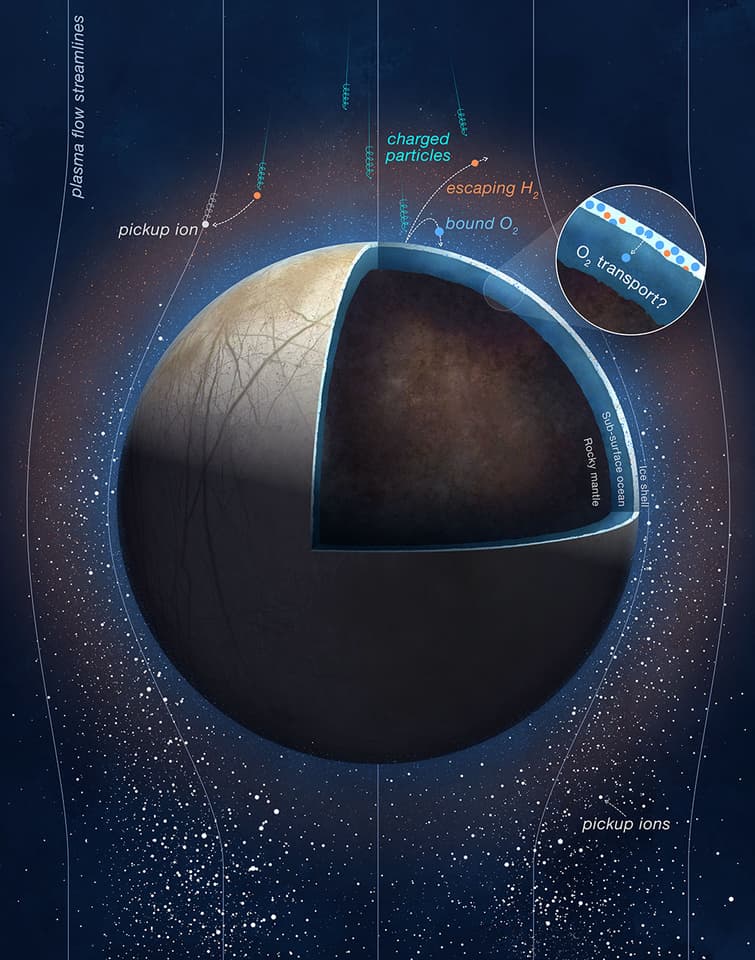Interior structure and how Europa interacts with Jupiter's magnetic field