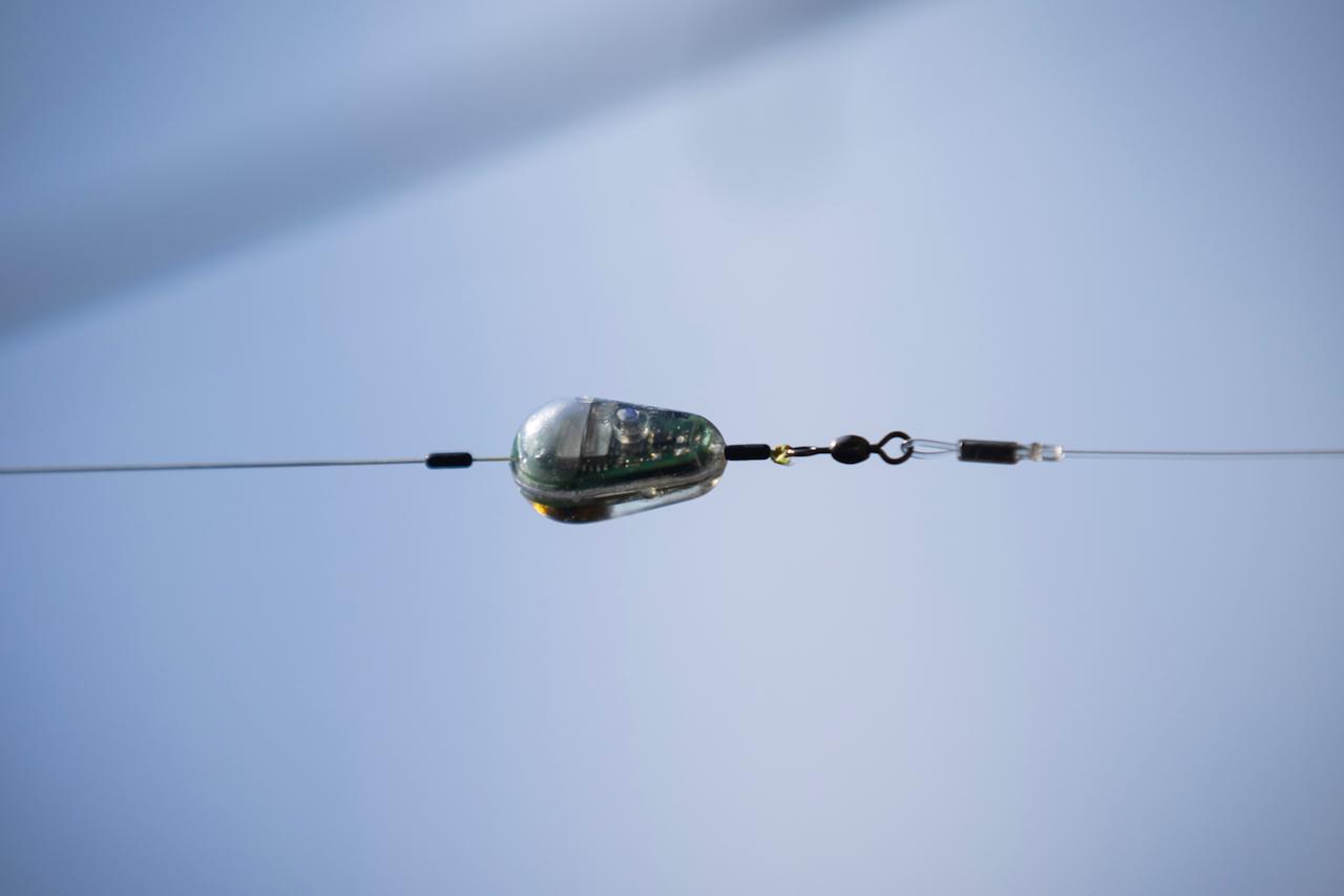 The Probe should reportedly be good for 10 hours of use per battery-charge
