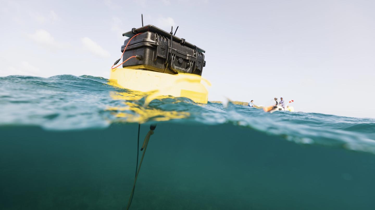 The anchored floating components of one of the underwater speaker systems