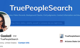 The Not-so-True People-Search Network from China