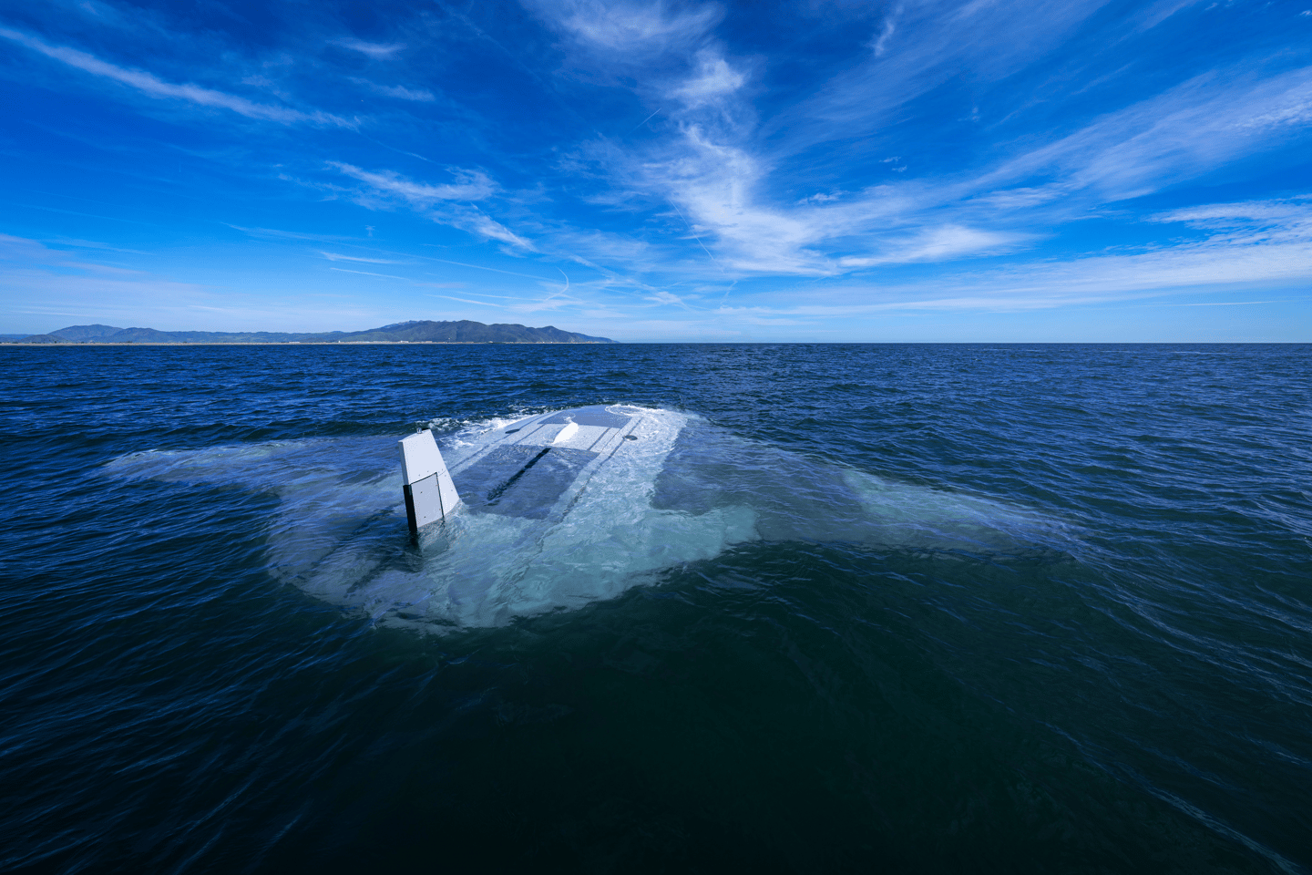 The Manta Ray on the surface