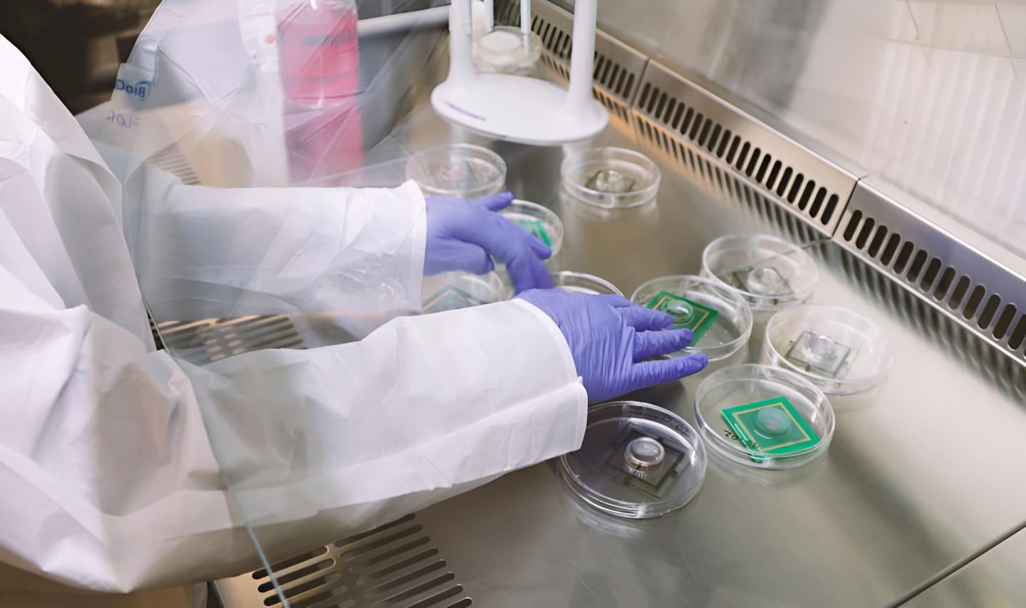 Biocomputer chips need to be kept alive with fluids and nutrients, in sterile and temperature-managed conditions