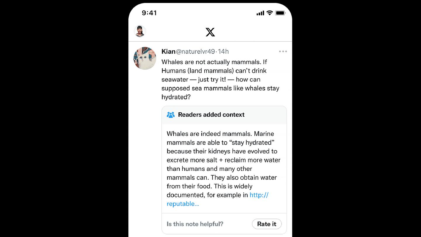 An example of X's Community Notes function
