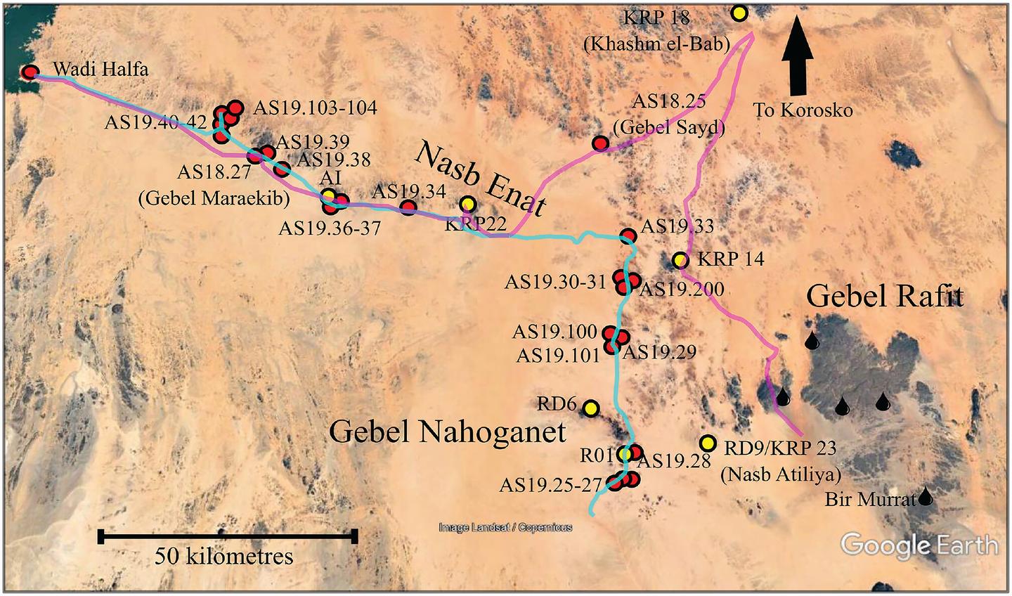 Map of new survey sites (red dots) in the Atbai Survey Project, including previous missions (yellow dots), 2018 routes (purple line) and 2019 routes (blue line).