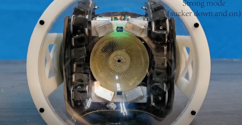 An underside view of a transparent-shelled version of the robot – an array of tiny polymer stalks inside the suction cup help it adhere to rough surfaces