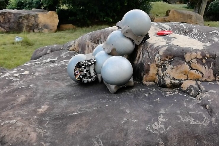 The robo-snails collaborate on climbing over a ledge