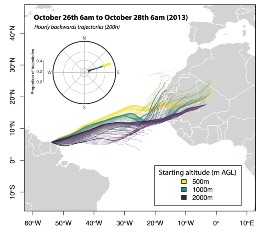 Trade-wind records revealed that this seemingly impossible flight was indeed viable