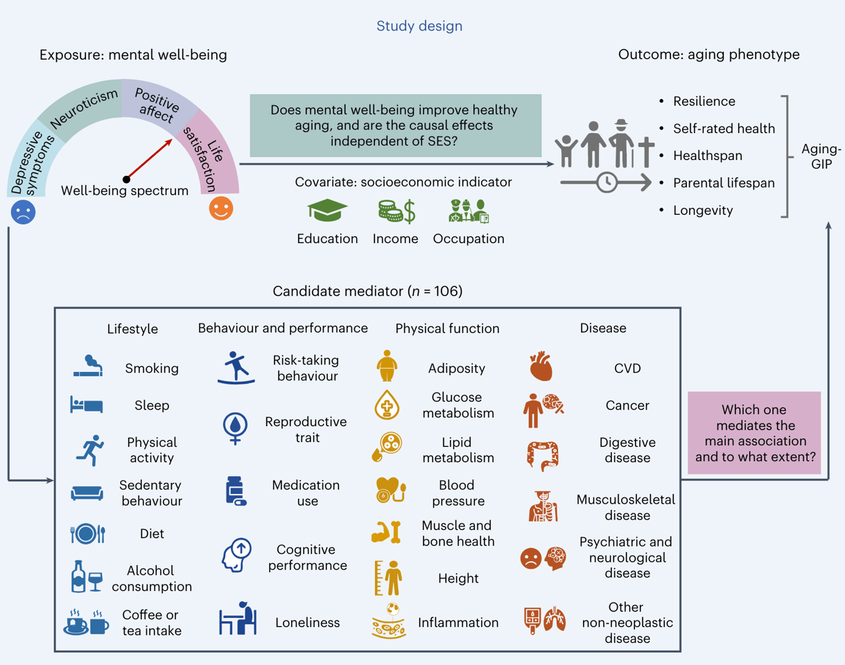 The study design aimed to synthesize complex health factors into what the main barriers are to achieving mental well-being as we age