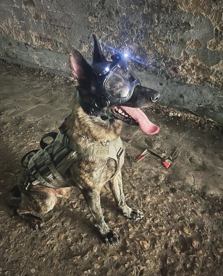 GEN4 can be fitted with LEDs