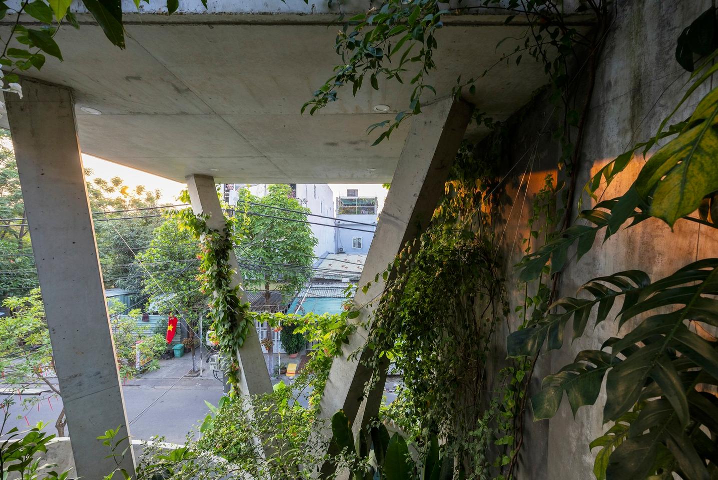 The Nest House is elevated on diagonal x-shaped concrete pillars