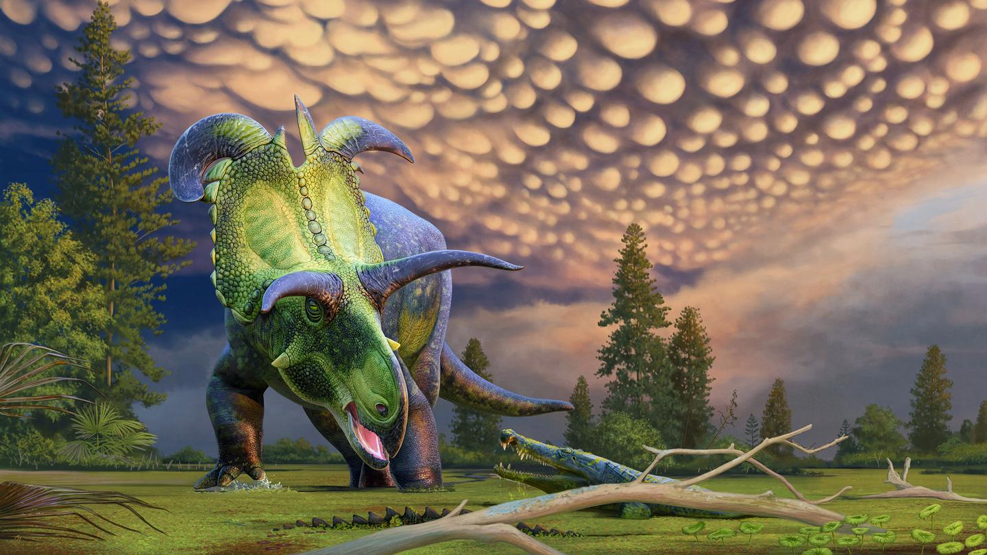 Reconstructed image of Lokiceratops rangiformis