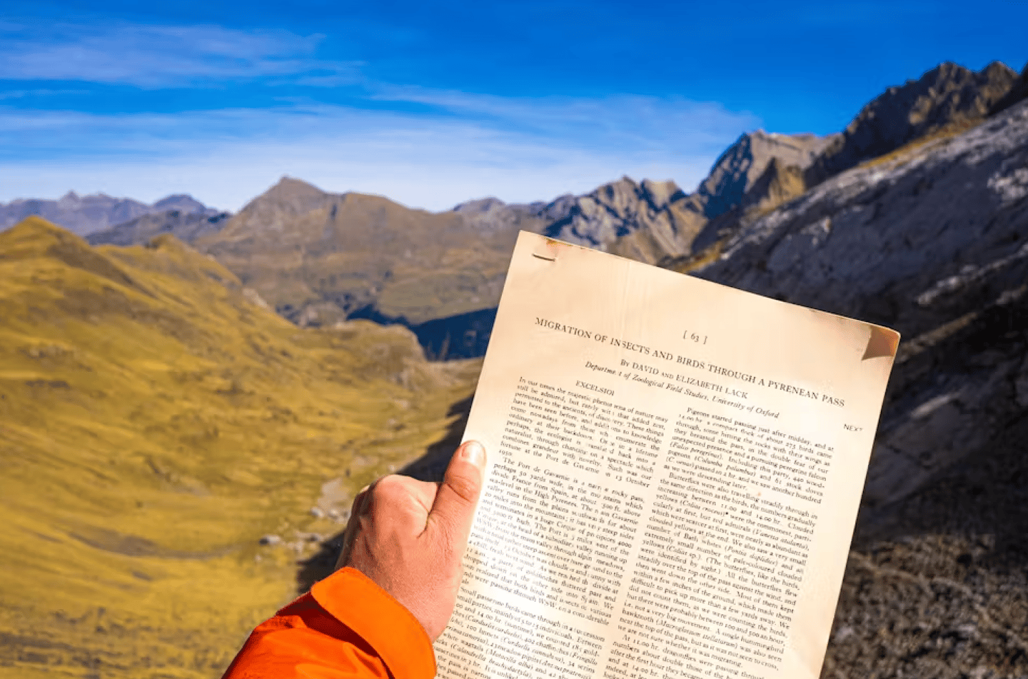 The historic Lack paper that started the researchers' present study