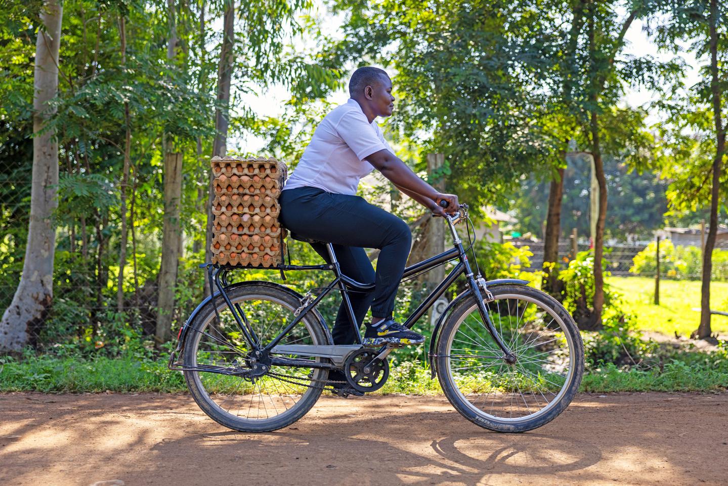 With its dual-speed dual-chain drivetrain, the Buffalo Bicycle Utility S2 can more easily climb hills and carry loads