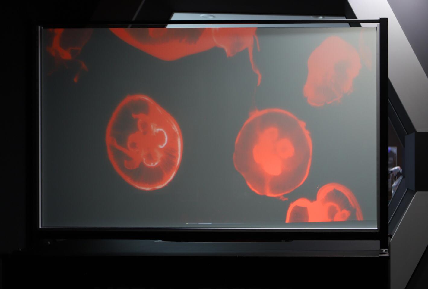 The Nano Transparent Screen technology can reportedly be mass produced for a tenth of the cost of transparent OLED screens