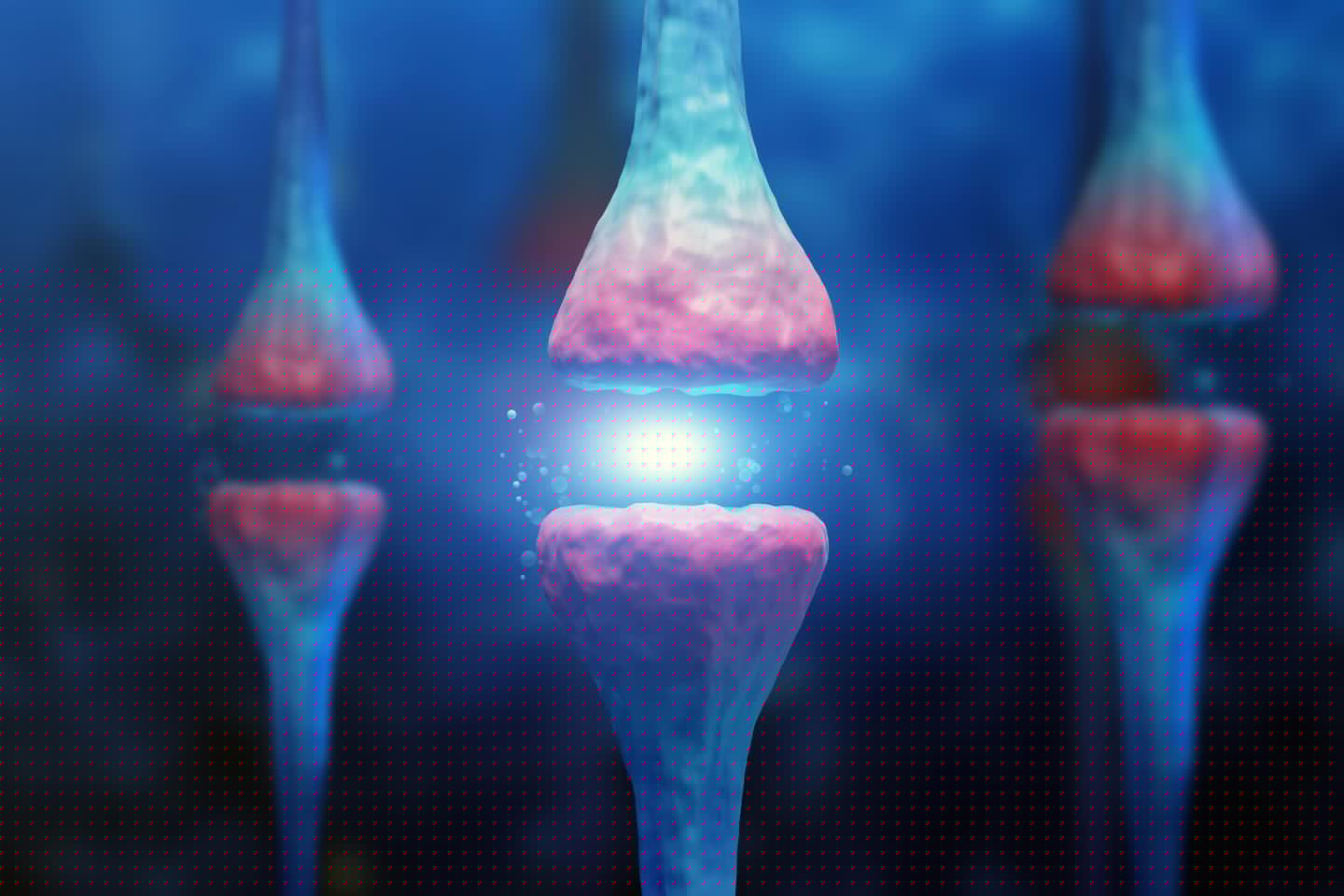 Stabilizing memories relies on protein production at the synapse between neurons