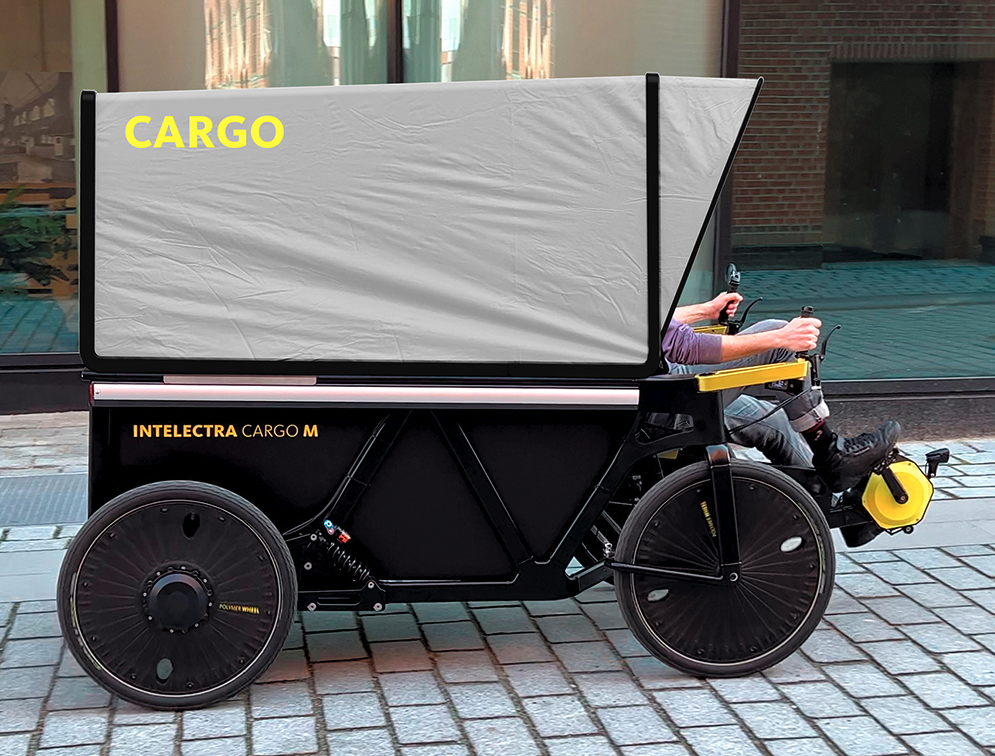 Dynamic Drivers offers an accessory canopy that creates a high-tech modern buggy