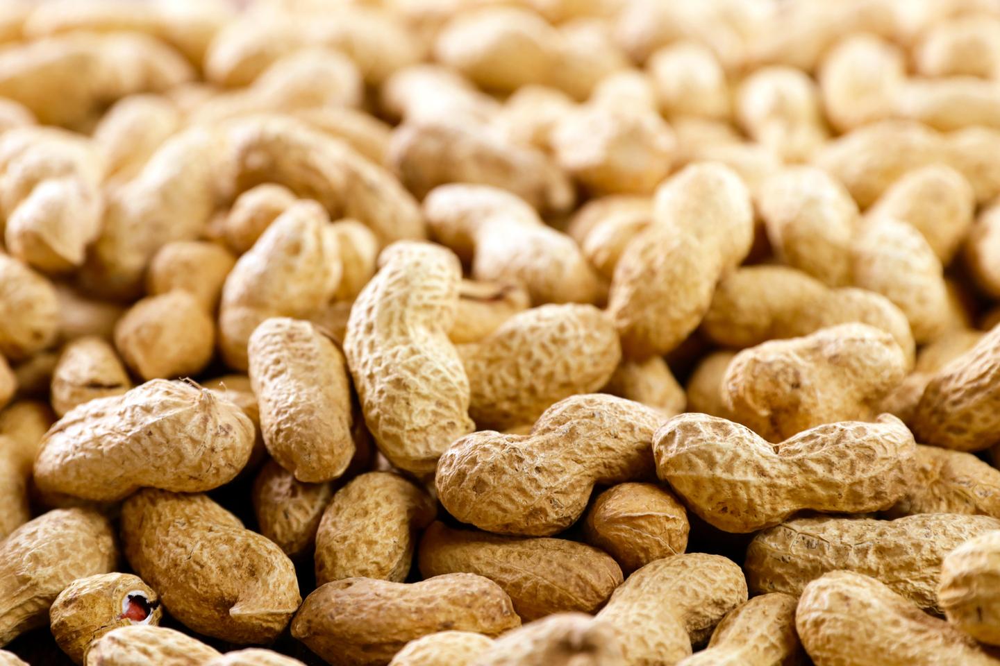 Peanut allergies tend to be lifelong, and not outgrown