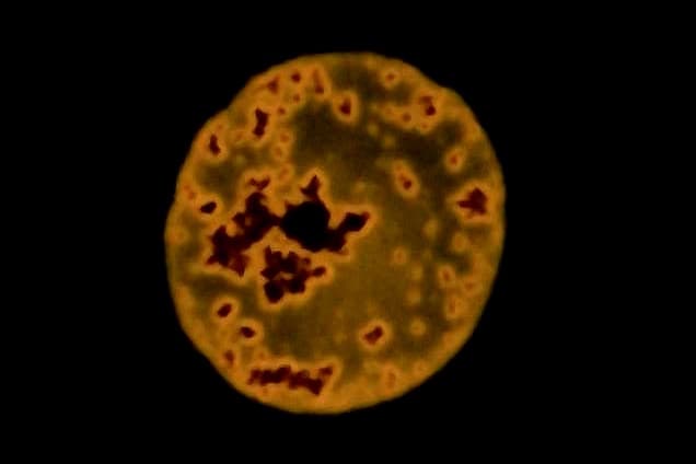 The device detects plastic particles ranging from 50 nanometers to 10 microns in size