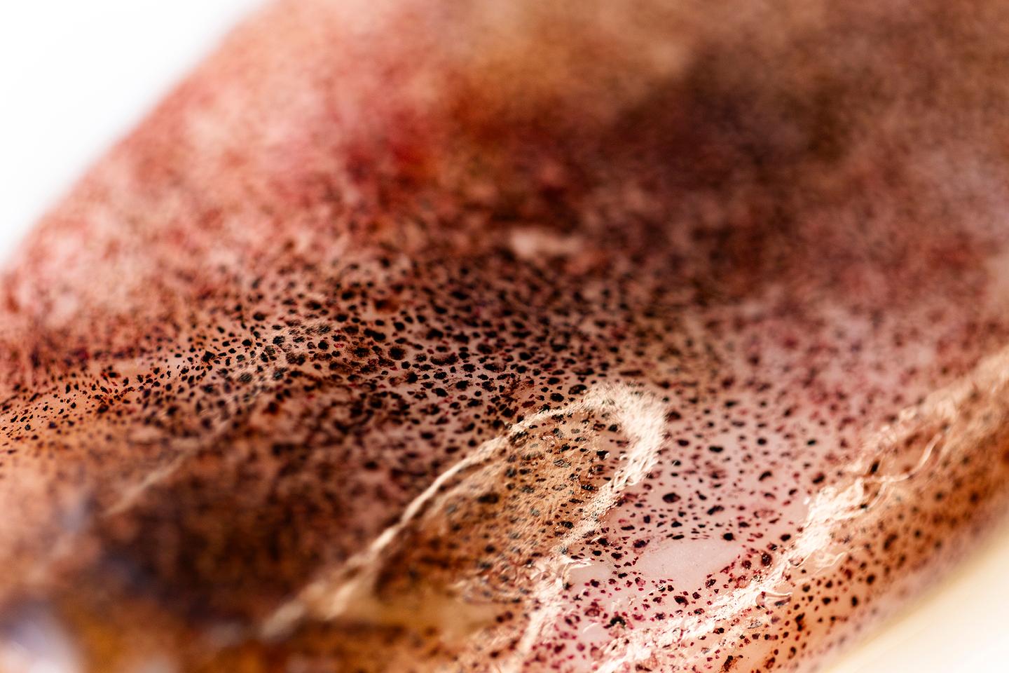 The squid-skin pigment sacs that inspired the researchers