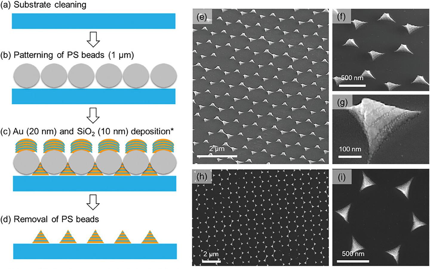 How researchers fabricated the chips. Images on the right are taken with a scanning electron microscope (SEM)