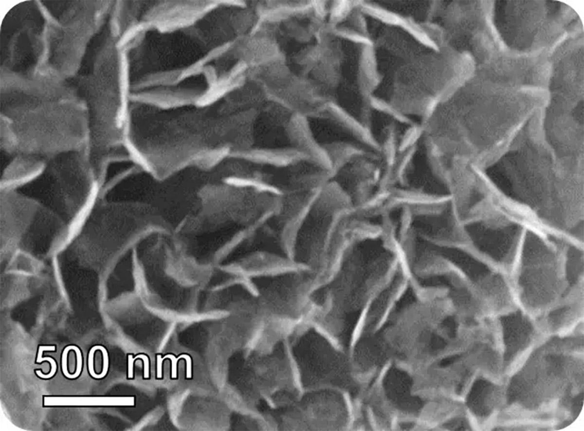 These nanoflakes show promise in detecting lung cancer by sensing a decline in isoprene in human breath