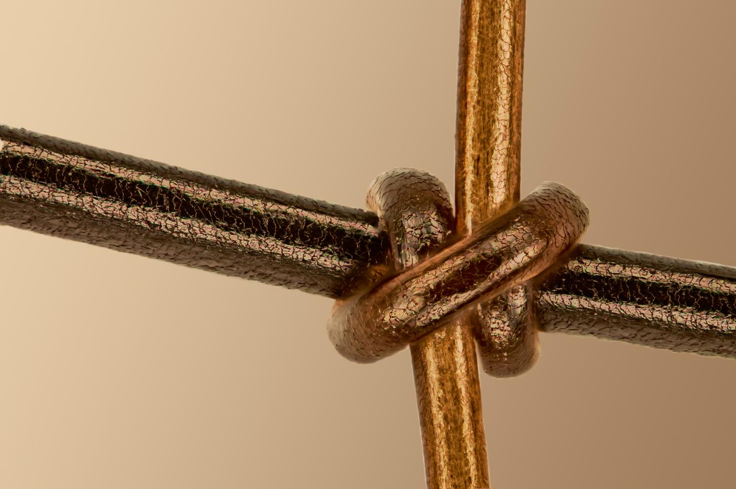 Materials Science Winner: "Connecting All Living Things." Human hair (vertical) knotted onto horsehair (horizontal).