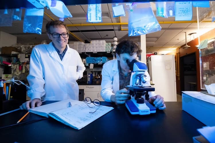 Lead author Travis Moschak (left) in the lab at the Department of Biological Sciences