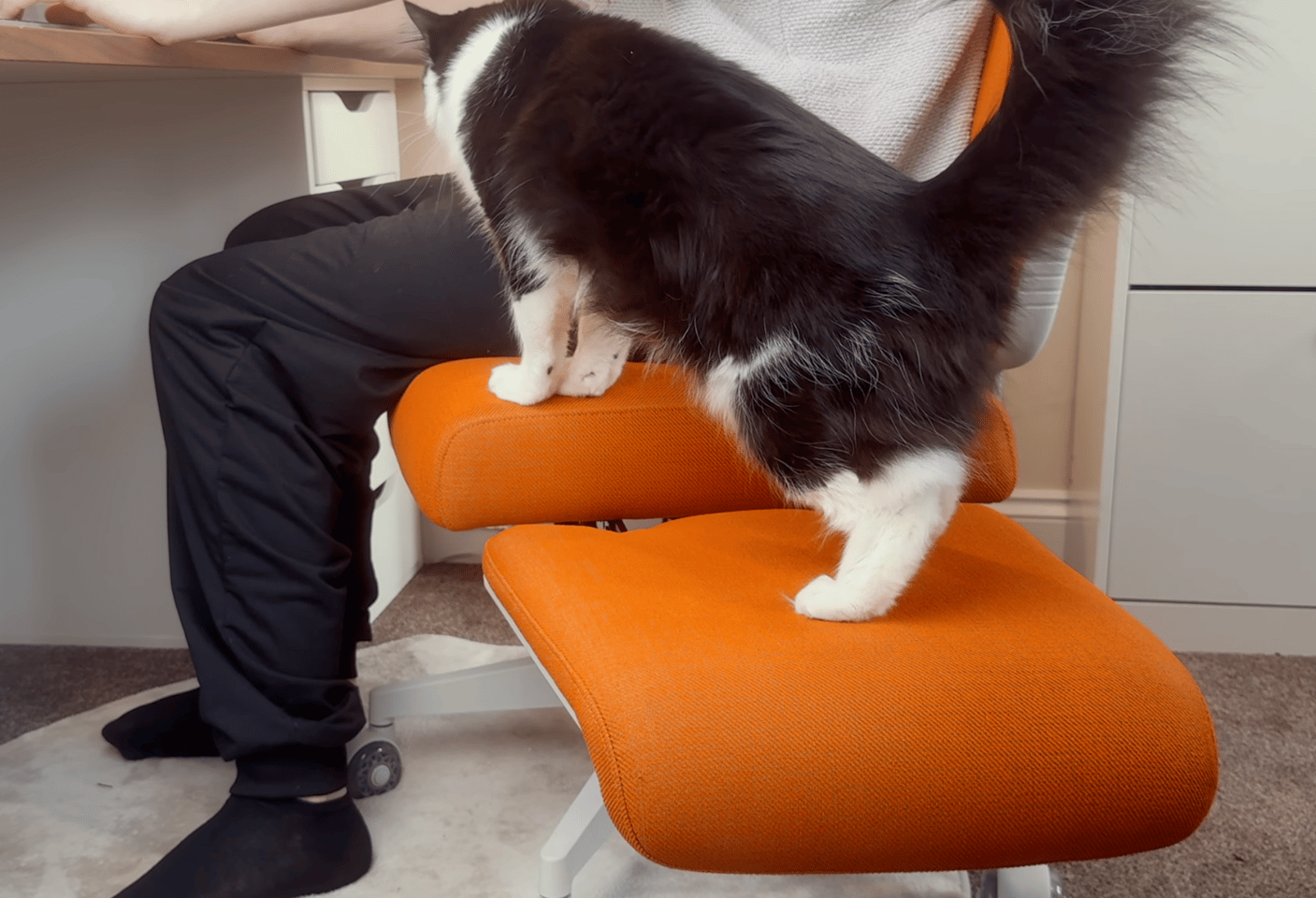 The armrests make the perfect sleeping perch for any furry colleagues (though no guarantee they won't still be searching for a lap)