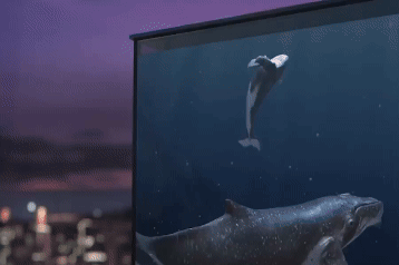 LG has been working on transparent display tech for about a decade now, and it's really something