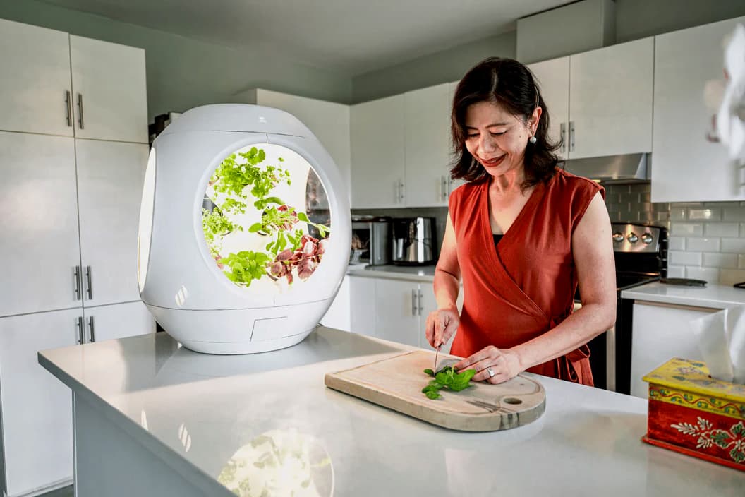 Each 15-pod package consists of a mix of plants that require similar growing conditions