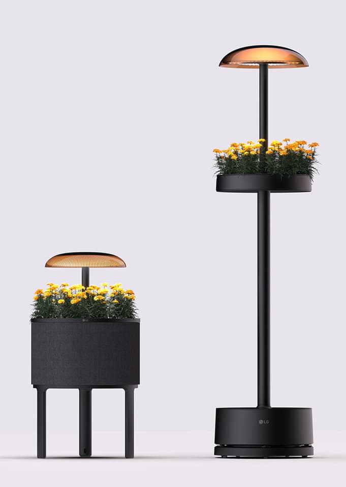 LG offers a range of seed kits and nutrients for leafy greens, herbs, flowers, and fruits - giving you plenty of options for stuff to grow indoors