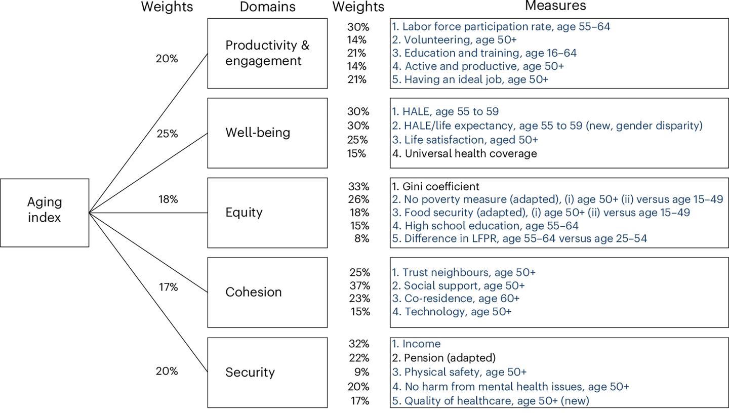 The modified Aging Index domains, weightings and measures