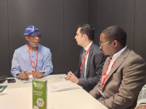 Minister wants Nigeria to end imports of solar power products, pushes local production