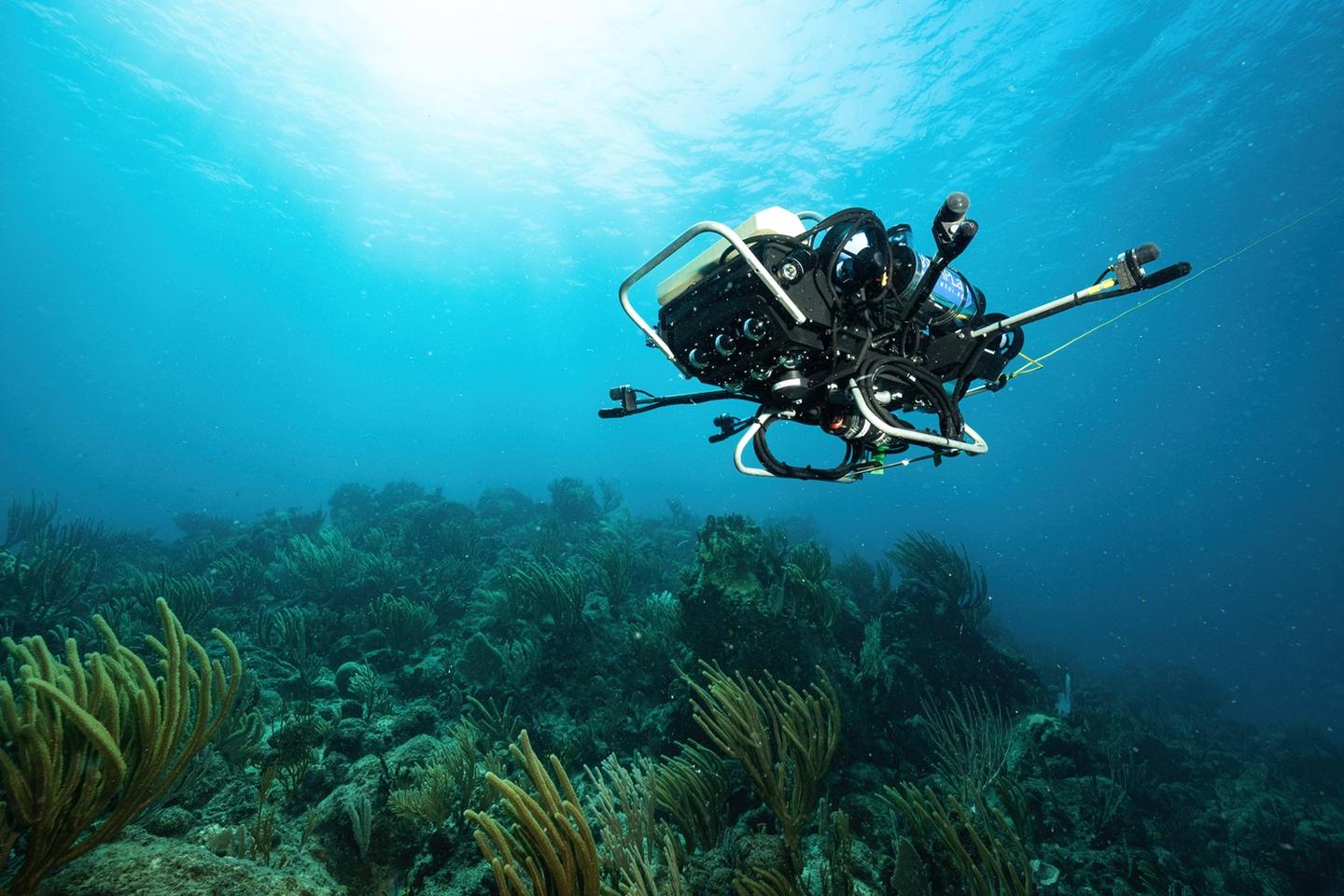 The neural network was tested on 22 hours of acoustic data gathered from five coral reefs in the US Virgin Islands – it could be utilized in the CUREE underwater robot