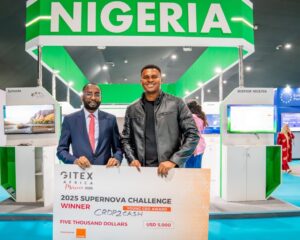 AI Revolution: Nigeria urges African leaders to lead with co-intelligence