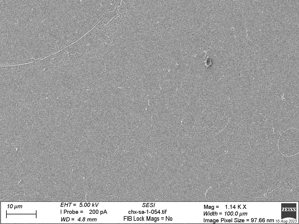 The surface of a steel plate painted with the CHX-containing resin, completely free of previously-added P. aeruginosa bacteria