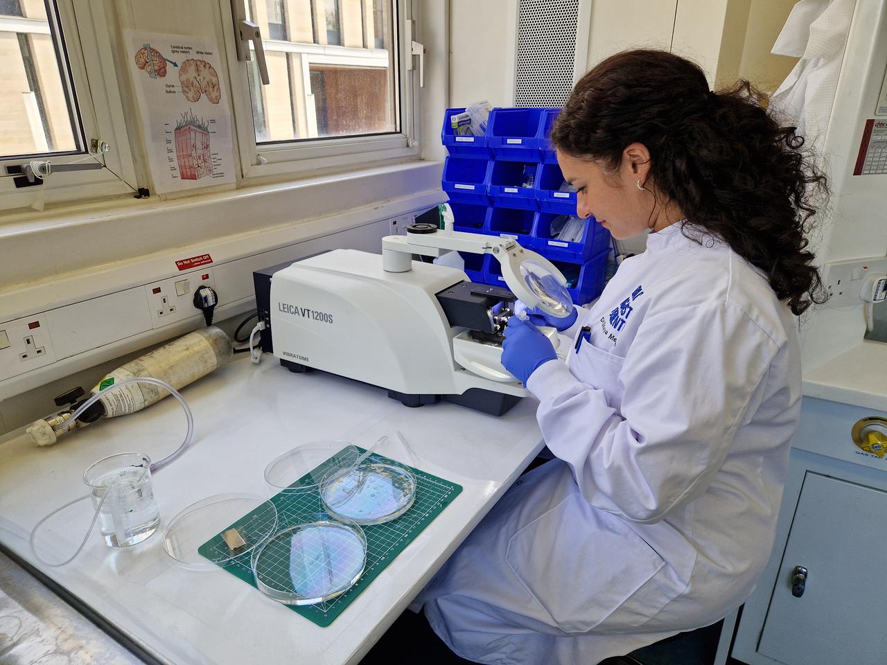Lead researcher Soraya Meftah uses the vibratome to create slices of living human brain tissue