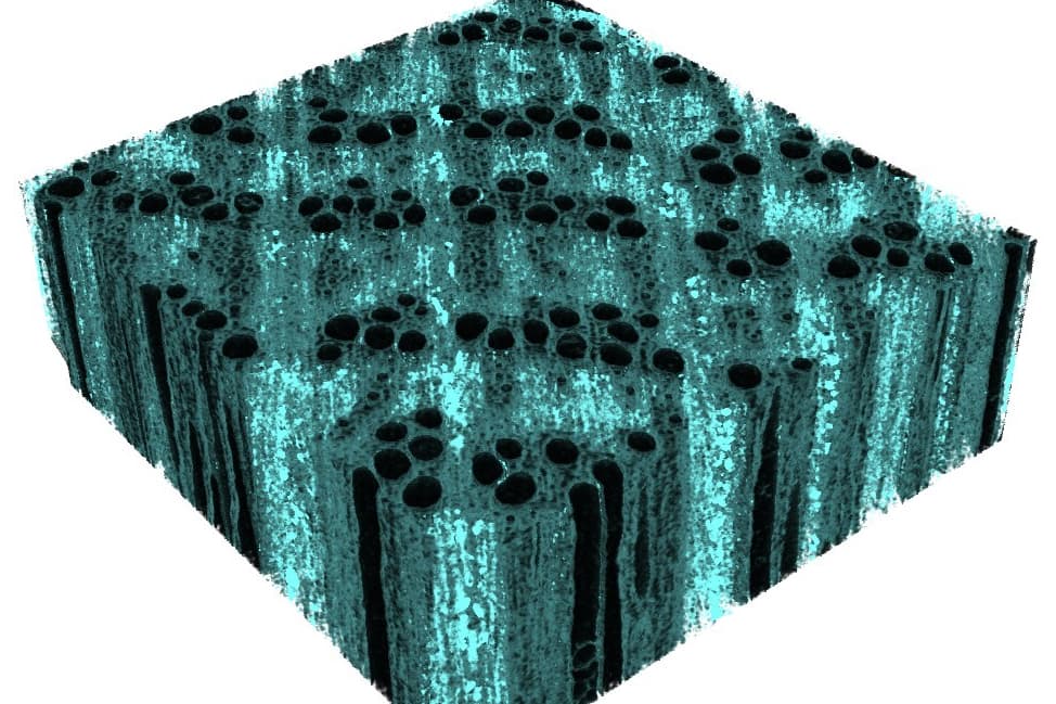 A microCT image shows the distribution of iron oxide nanoparticles (turquoise) in wood cell walls